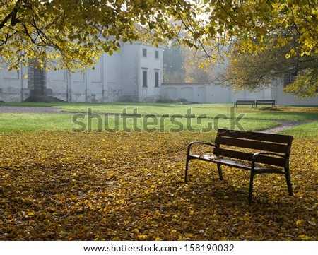 Bench in the park in autumn, colourful autumn view with the bench in the park, yellow autumn, romantic view, trees with yellow leaves in autumn time, tranquility, park