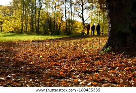 Colorful park in autumn time with maple leaves on the ground and walking people silhouette, autumn background, bright autumn, park view, calm day in park, people walking in the park
