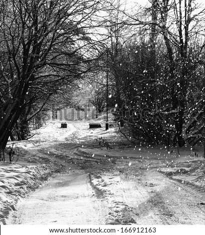 Snowing day, small path with snowing background on wintertime, winter season, winter time background,black and white photo, winter landscape,Christmas time. Sunny snowing day with shadows