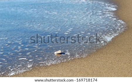 Small sea shell on the sandy beach, Soft wave of the sea on the sandy beach, quiet time, sandy beach seashore and small shell, wave on the shore with sun rays. Blur amazing background. Holidays mood