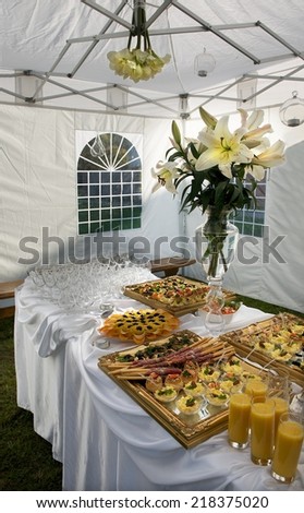Table full of food in the ball fragment photo, ball fragment photo, table decor on wedding, table decor, table prepared for party in white tent, food and drink, party, event, celebrity