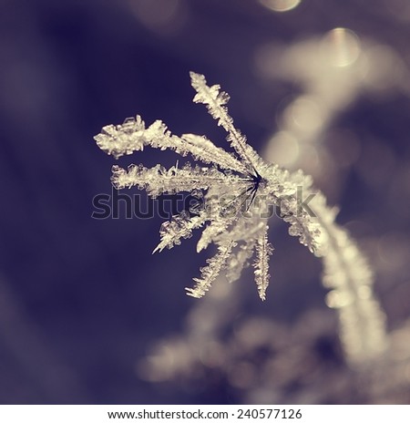 Snow flake in vintage style, vintage retro style photo of snow flake in blurry background, bokeh, snow flake close up
