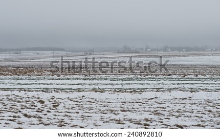 First day of 2015 in Lithuania, foggy dark morning january 2015, fields with the snow in fog morning, Lithuanian nature, nature in Lithuania, winter in Lithuania, lithuanian landscape, winter nature