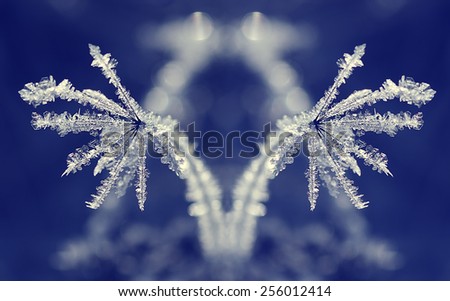 Conceptual artistic photo of ice, conceptual abstract winter photo, icicle, froze grass with nice booked background, frozy morning