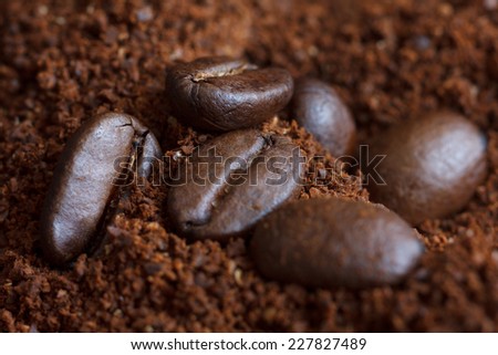 Three roasted coffee beans on ground coffee.