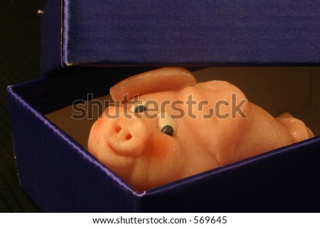 Marzipan pig peeking out of a box