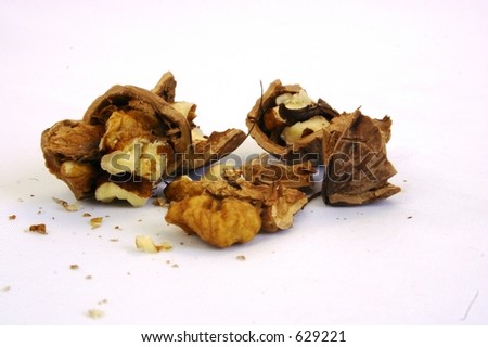 English Walnut Stock