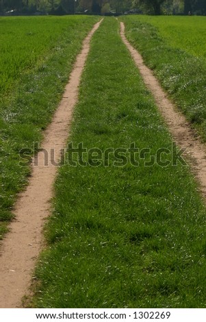 A car path in field