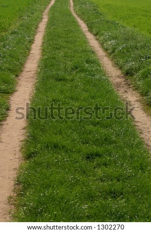 Car path in field