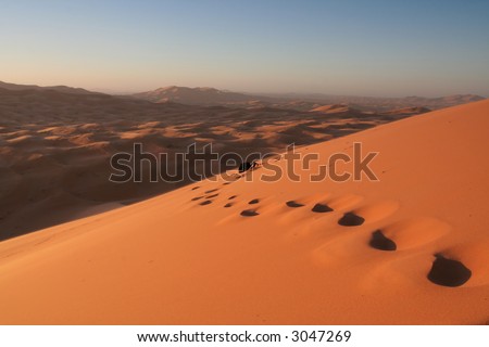 Footsteps in Erg Chebbi sand dunes in the Sahara Desert near Hassi Labiad and Merzouga, Morocco. Algeria is located 20 km from here.