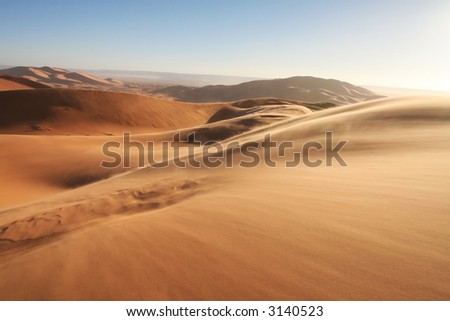  Sandstorm in Erg Chebbi sand dunes at sunrise in the Sahara Desert 
