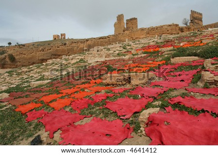 Old tradition order to dry colored skin on ancient ruins of city Fez