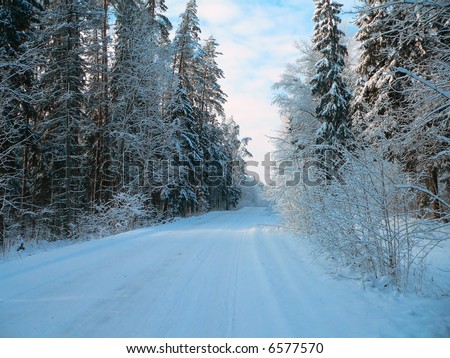 Typical scene of North Europe winter - road goes through snowy forest
