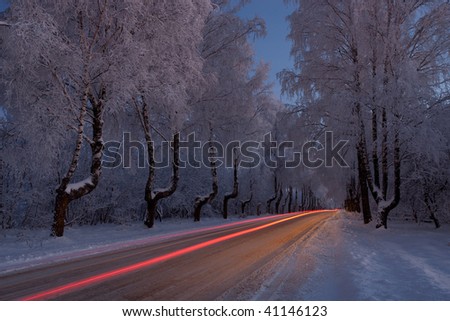 Typical scene of North Europe winter - road goes through snowy forest in blue hour