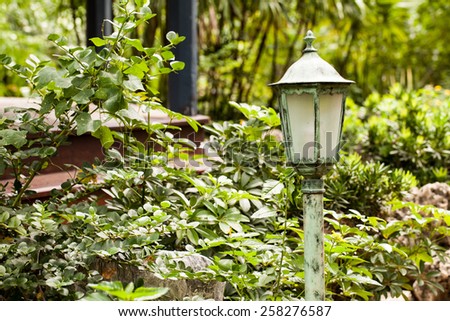 Old Vintage Lamp in garden. focus on plant