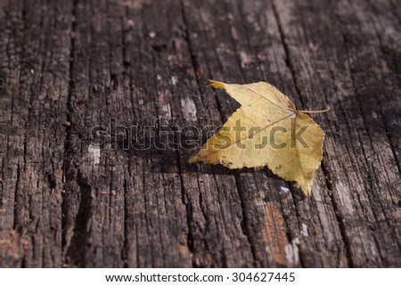 A fall maple leaf sitting on old deck wood.