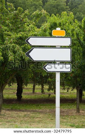 A group of blank road signs against a background of cherry trees.