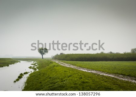Background image with tree, path and river