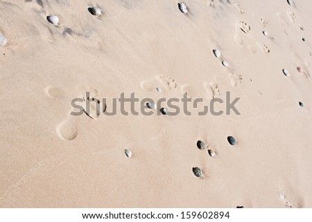 Footprints trail in beach sand in sunny day