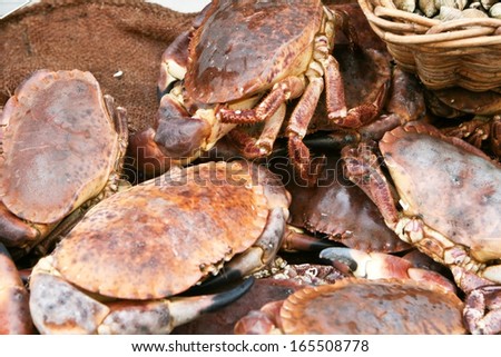 Crabs on the market in Normandy. France