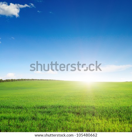 pictorial field and blue sky