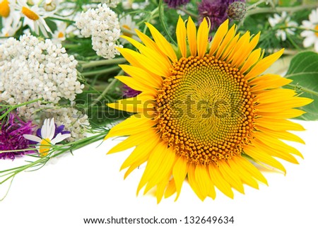 Flower of sunflower and other field flowers on a white background