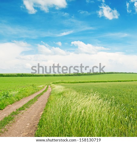 wheat field, country road and blue sky