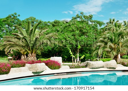palm trees and flowers around the outdoor pool