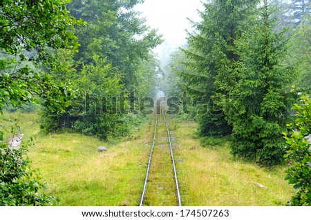 narrow-gauge railway in the forest