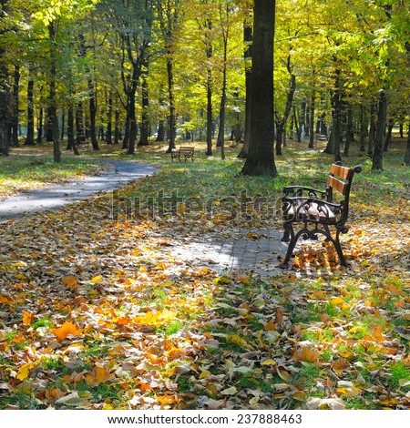 autumn park with paths and benches