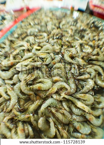 Fresh prawns at wet market - close up with focus effects