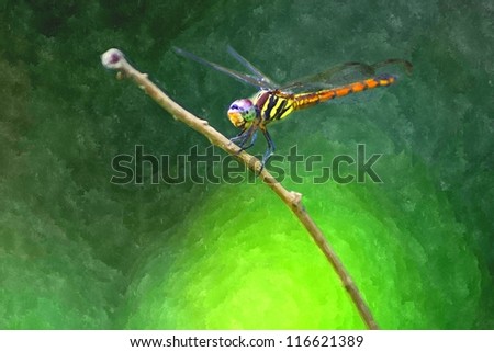 digital art watercolor painting of Dragonfly
