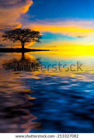 lonely tree. digital compositing with colour tone, water reflection and ripple effects.
