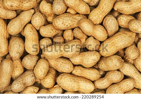 Dry roasted peanuts for use as background.
