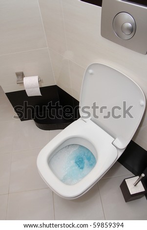 Modern toilet, WC - toilet being flushed