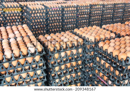 Eggs in the black package