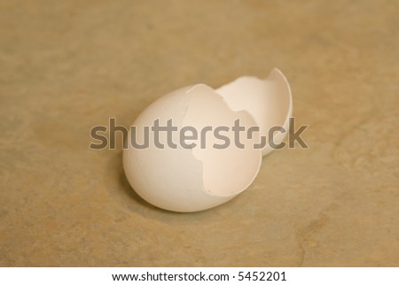 close up of empty egg shell cracked open for cooking