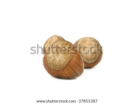 Hazel nuts on a white background with shell