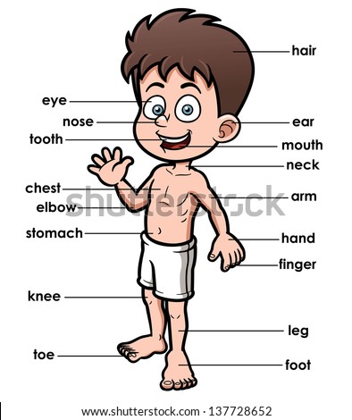 Vector illustration of vocabulary part of body Vector illustration of vocabulary part of body