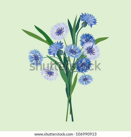 flower bouquet isolated. meadow flowers blue cornflowers. vector background.