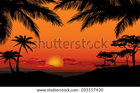 African landscape with palm trees silhouette. Savanna sunset background.