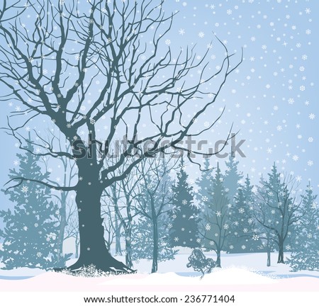 Christmas snow landscape wallpaper. Snowy forest background. Tree without leaves over snow.  Winter garden.