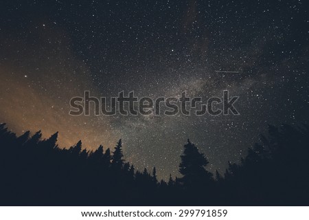 Milk Way night sky over pine trees at Breckenridge, Colorado