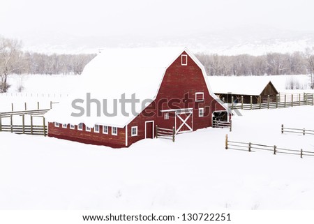 Red barn in snow on lamb farm.