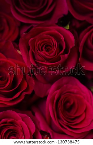Fresh cut roses ready for Valentine\'s Day.