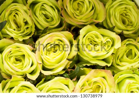 Fresh cut roses ready for Valentine\'s Day.