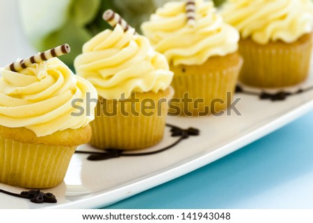 Small white chocolate cupcakes at desesrt bar.