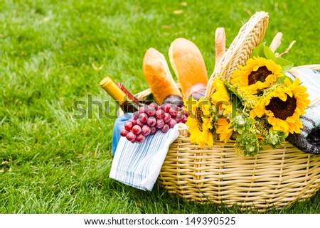 Summer picnic with a basket of food in the park.