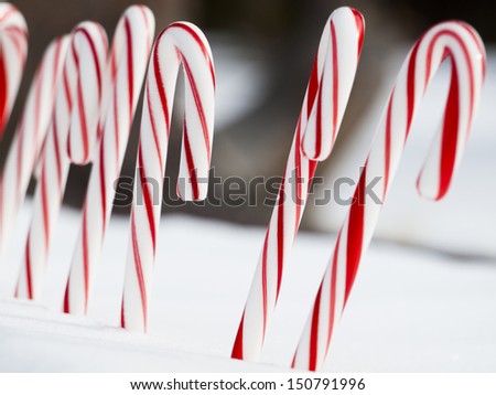 Traditional holiday candy candy cane in snow.