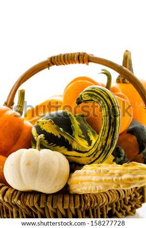Basket filled with mini pumpkins on a white  background.
